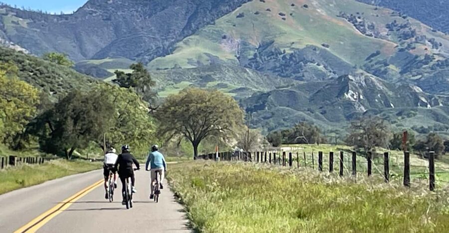 Los Olivos: E-Bike Tour + Vineyard Lunch w/Wine Tasting - Key points to know before you book