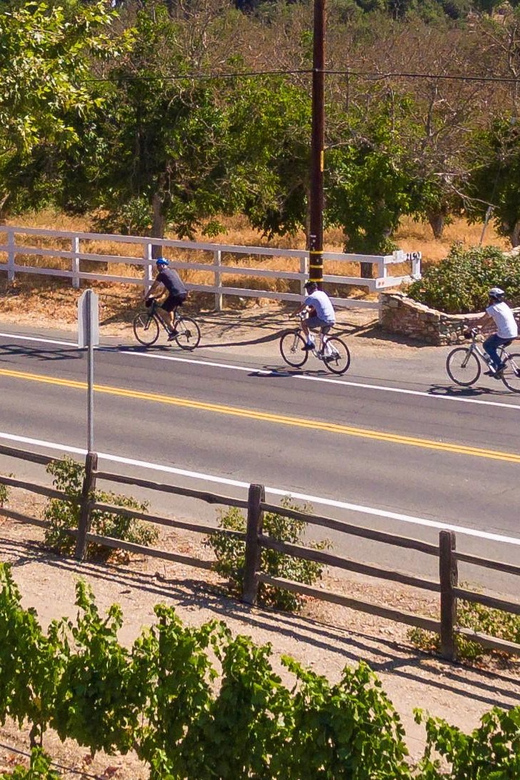 Los Olivos: E-Bike Tour + Vineyard Lunch w/Wine Tasting - Lunch at Beckmen Vineyards