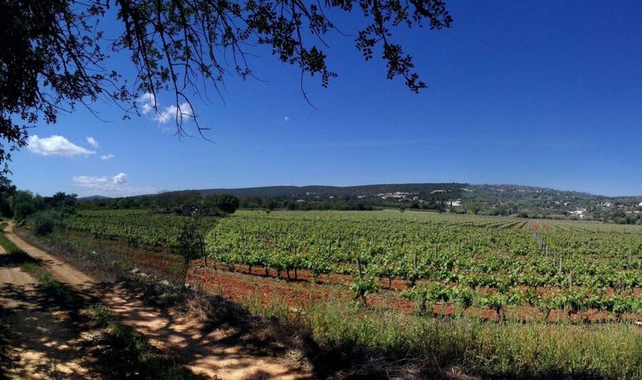 Loulé: Quinta da Tôr Winery Guided Tour and Wine Tasting - Why Quinta da Tôr makes a good Algarve change of pace