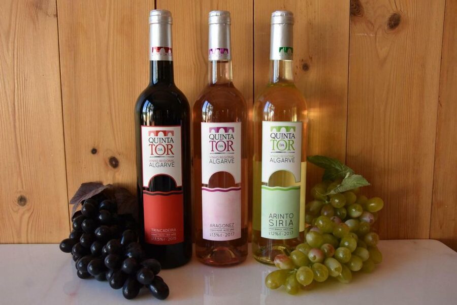 Loulé: Quinta da Tôr Winery Guided Tour and Wine Tasting - Four wines and several ways to taste them