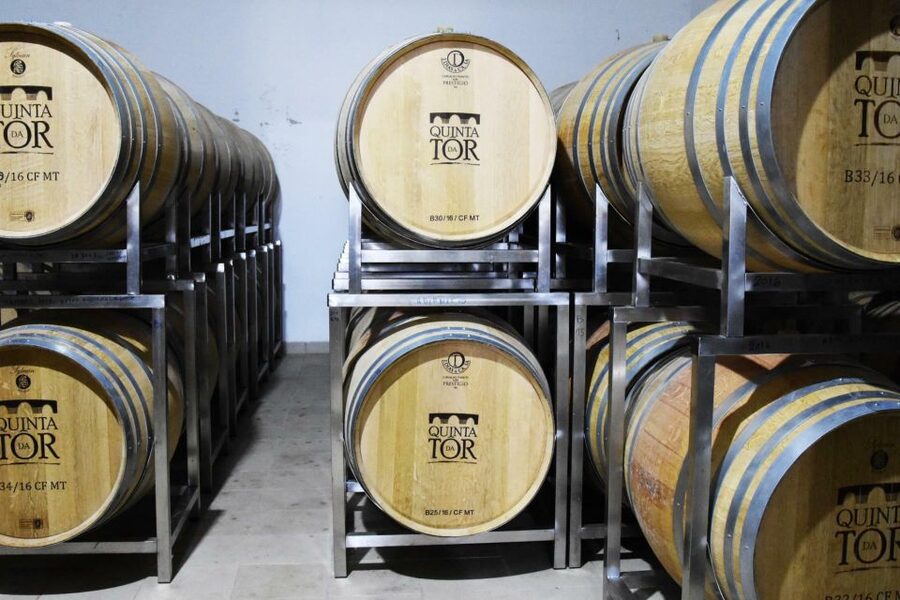 Loulé: Quinta da Tôr Winery Guided Tour and Wine Tasting - Bread, olive oil, and the option to add more food