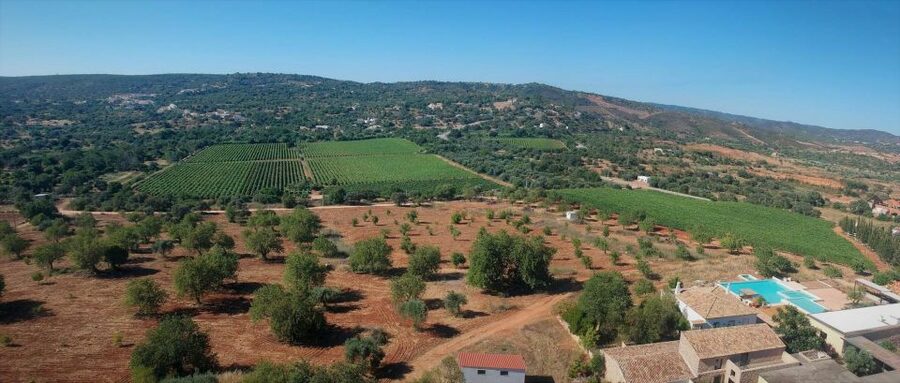 Loulé: Quinta da Tôr Winery Guided Tour and Wine Tasting - The pool and views are part of the appeal