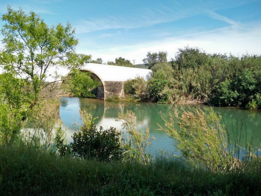 Loulé: Quinta da Tôr Winery Guided Tour and Wine Tasting - Timing, cancellation, and what to bring