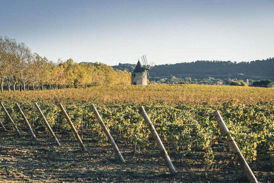 Luberon: Vineyard Tour and Wine Tasting - Key Points to Know Before You Go