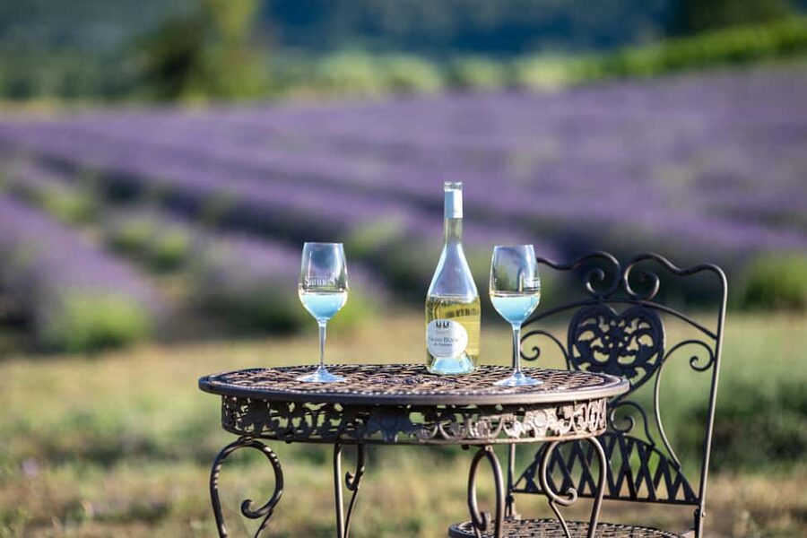 Luberon: Vineyard Tour and Wine Tasting - Views Toward Ansouis and the Luberon Countryside