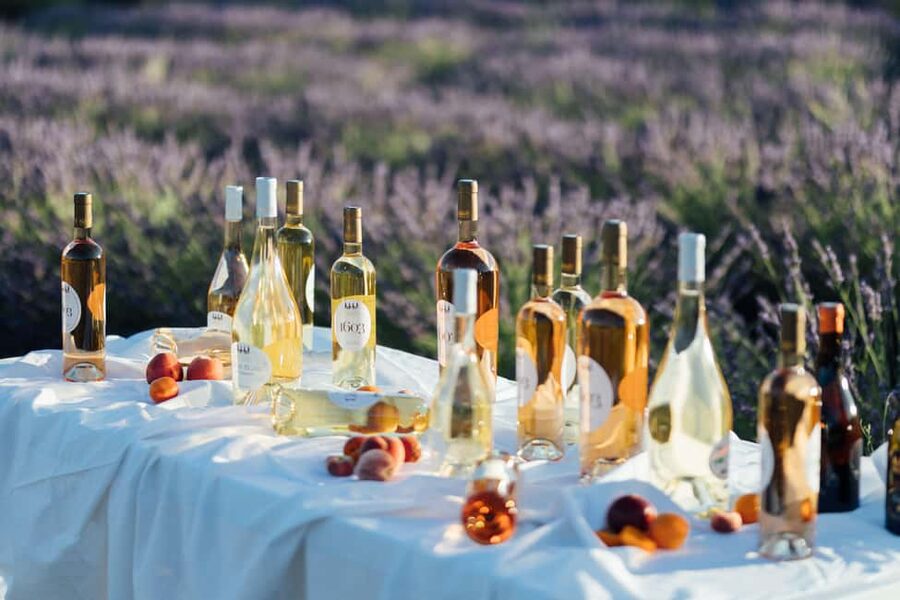 Luberon: Vineyard Tour and Wine Tasting - The Boutique Tasting: Six Wines and Plenty of Time