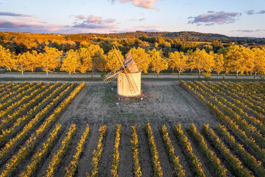 Luberon: Vineyard Tour and Wine Tasting - Is $25 Good Value for This Vineyard Visit?