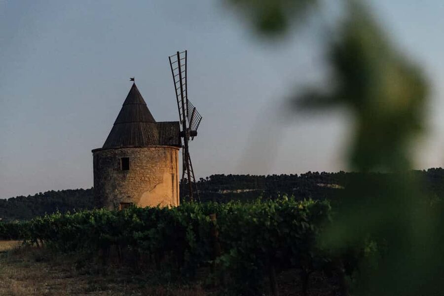 Luberon: Vineyard Tour and Wine Tasting - Practical Planning for Your Château de Sannes Visit