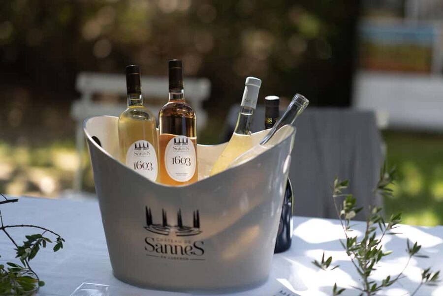 Luberon: Vineyard Tour and Wine Tasting - Understanding Luberon Terroir and the Vine