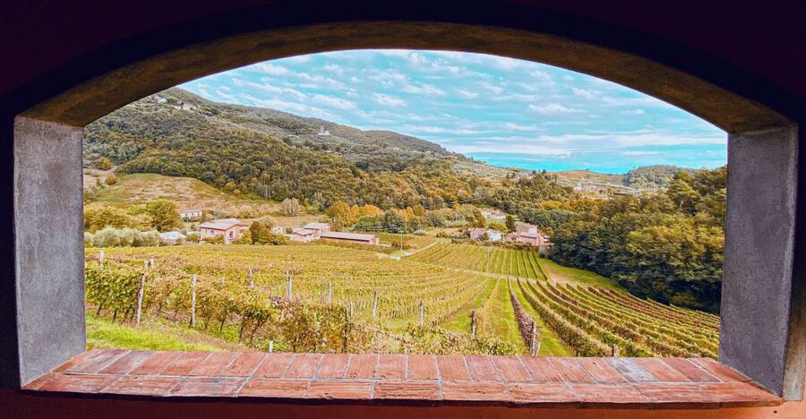 Lucca: Guided Winery Tour with Wine Tasting - Add a light platter if you want more than breadsticks