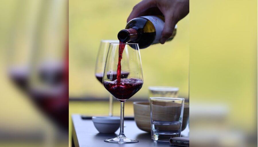Lucca: Guided Winery Tour with Wine Tasting - The cellar tour takes about 20 minutes
