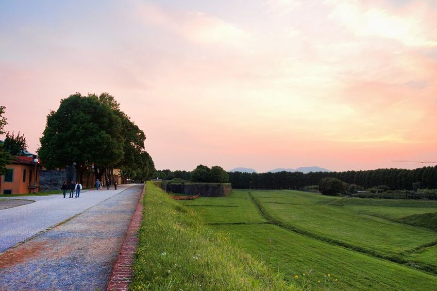 Lucca: Picnic Lunch at a Vineyard by Bike - Key points at a glance