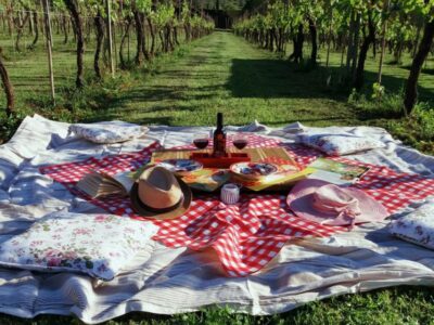 Lucca: Picnic Lunch at a Vineyard by Bike