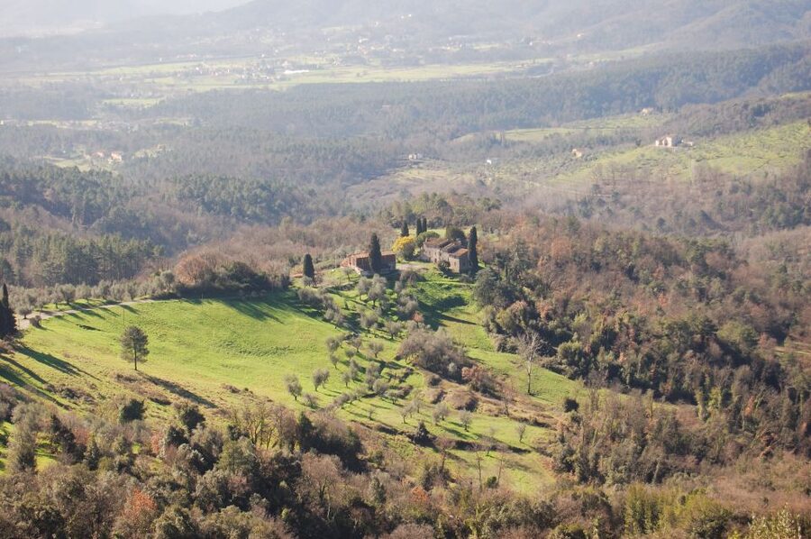 Lucca: Self-Guided Bike Tour to the Wine Roads - Two Climbs Before Montecarlo