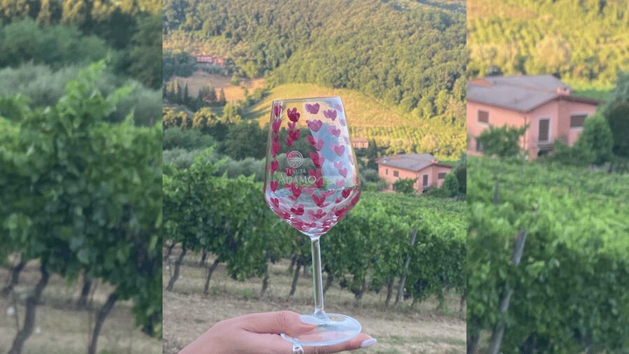Lucca: Vineyard Paint & Sip at Tenuta Adamo Winery - What the 1.5-hour schedule feels like