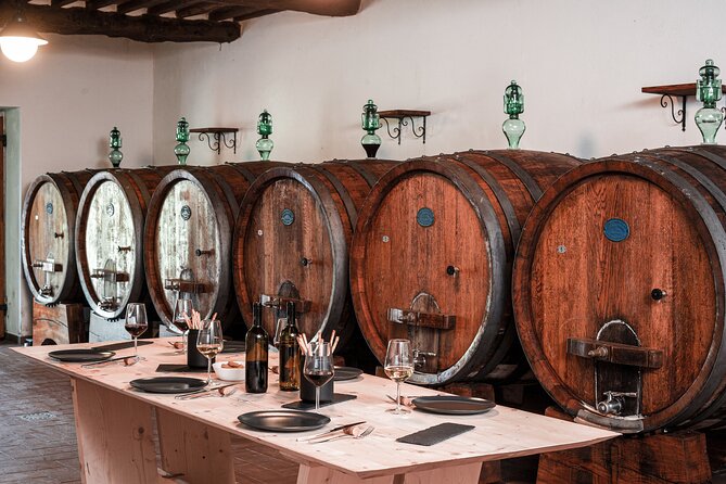 Lucca: Wine Tasting Experience - Tenuta Adamo Winery - A small winery in the Lucca hills