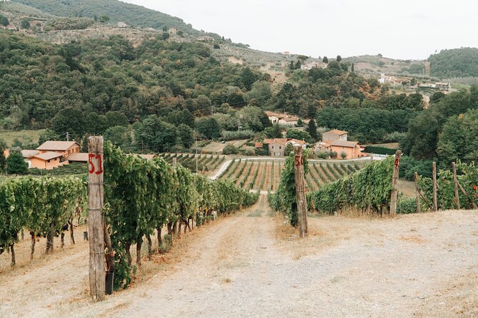 Lucca: Wine Tasting Experience - Tenuta Adamo Winery - The terrace tasting with four wines