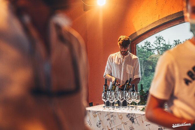 Lucca: Wine Tasting Experience - Tenuta Adamo Winery - How the $24.20 price works for you