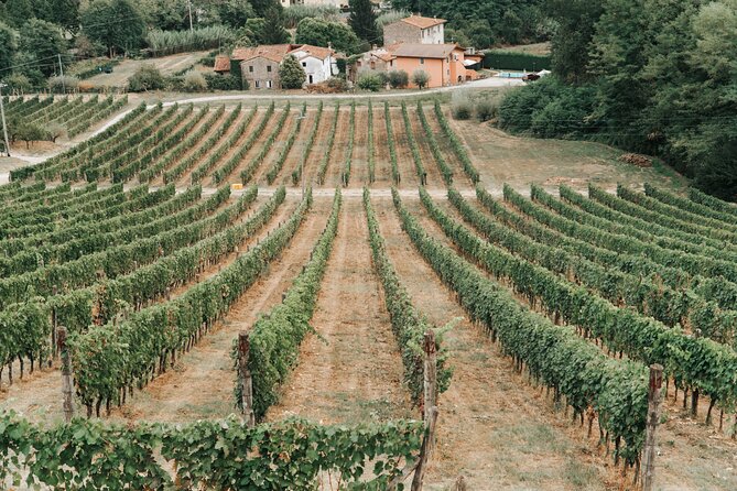 Lucca: Wine Tasting Experience - Tenuta Adamo Winery - Getting there from Lucca
