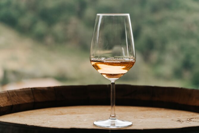 Lucca: Wine Tasting Experience - Tenuta Adamo Winery - Morning or afternoon?