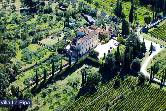 Luch Time Tasting & Winery Tour - Four wines and a Tuscan lunch