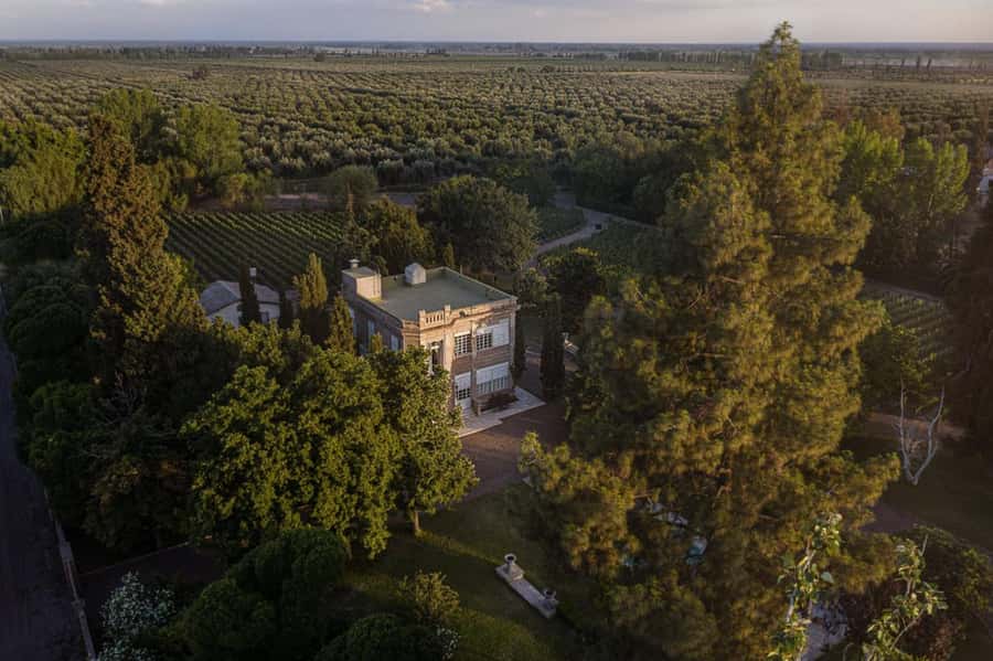 Luigi Bosca Winery Tour with Wine Tasting and Lunch - Why Finca El Paraíso Makes This Visit Different