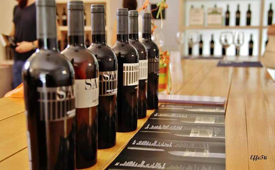 Lunch and tasting 5 wines + walk in the panoramic vineyards - A full Umbrian lunch, not just a plate of snacks