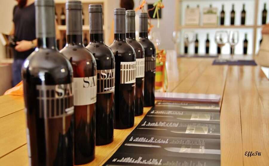 Lunch and tasting 5 wines + walk in the panoramic vineyards - The vineyard walk, with views and information boards