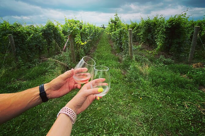 Lunch in the Vineyard: A Scenic Niagara Wine Tour Experience - Who should book this Niagara wine tour