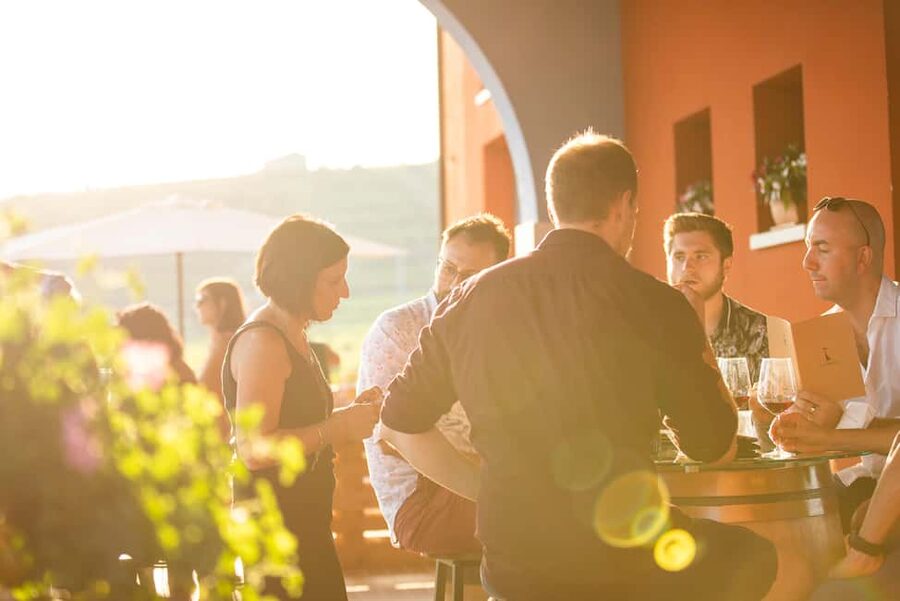LUNCH IN VERONA: LIGHT LUNCH AMONG THE VINEYARDS AND IN THE WINERY - What the $71 price really buys you