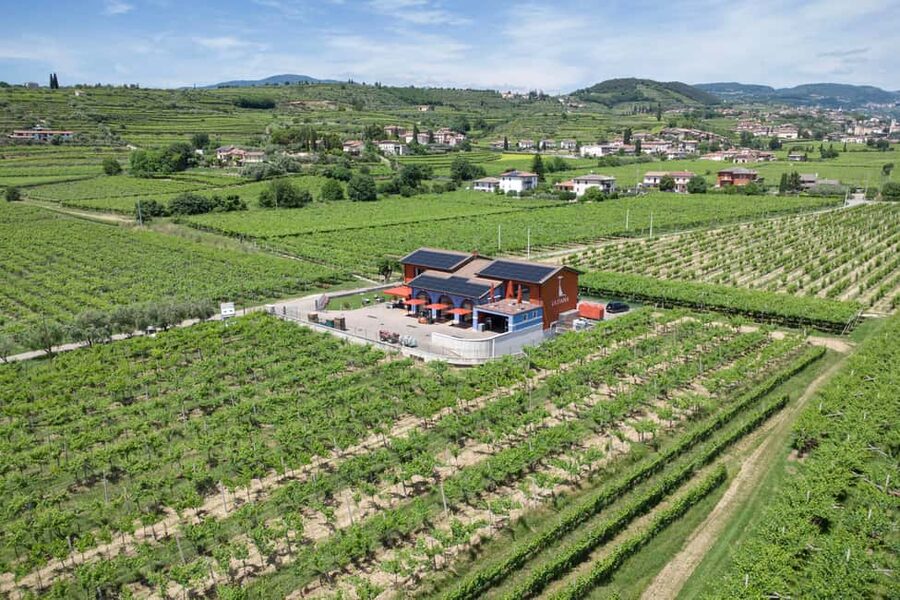 LUNCH IN VERONA: LIGHT LUNCH AMONG THE VINEYARDS AND IN THE WINERY - Practical details before you reserve