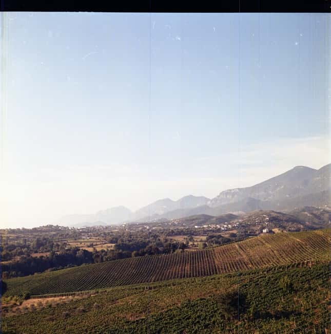 Lundër: Lundra Winery Guided Tour with Wine Tasting - Beginning With Lundra Winery’s Family Story