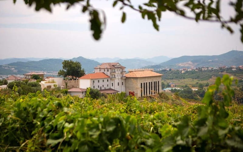 Lundër: Lundra Winery Guided Tour with Wine Tasting - Walking Through the Grapevines