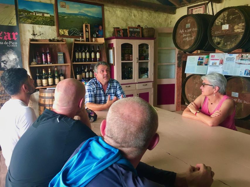 Luxury Wine Tasting at the Czar Pico Winery - A private look at rare bottles in Sao Roque do Pico