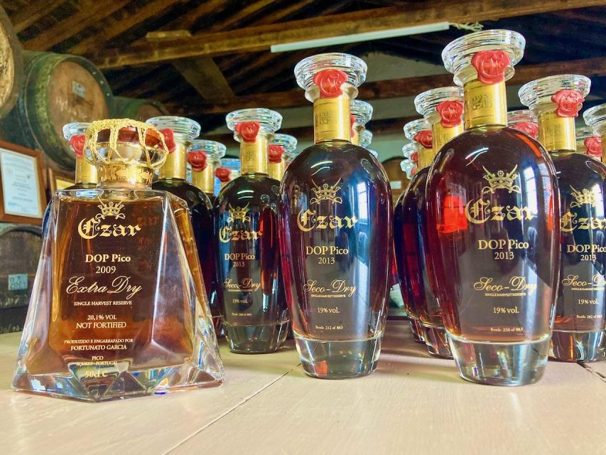 Luxury Wine Tasting at the Czar Pico Winery - Finishing at a local pool