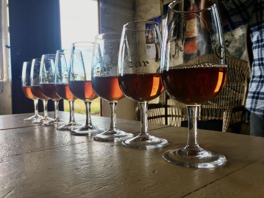 Luxury Wine Tasting at the Czar Pico Winery - The personal touch from Silvia and Natacha