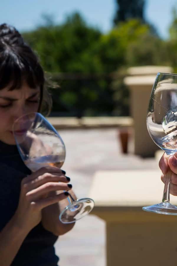 Luxury Wine Tasting in Uco Valley/ Boutique Wineries & Asado - What the $254 price includes