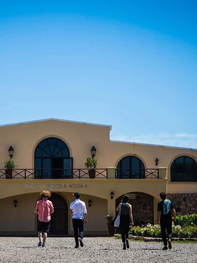 Luxury Wine Tasting in Uco Valley/ Boutique Wineries & Asado - Who will enjoy this day most