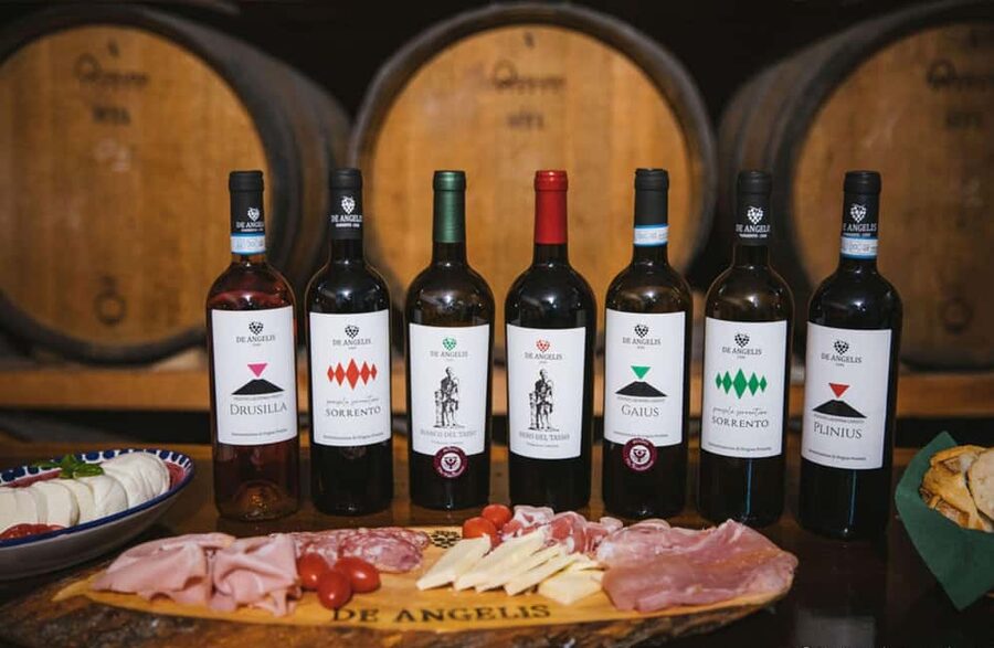 Luxury Winery Tour with Wine and Food Tasting in Sorrento - Who should book this experience