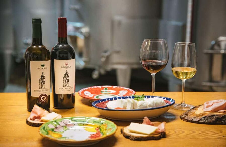 Luxury Winery Tour with Wine and Food Tasting in Sorrento - The 30-minute production tour