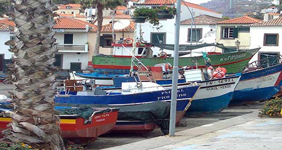 Madeira: Vineyard Tour w/ Wine Tasting & Skywalk - Weather, walking, and practical limits