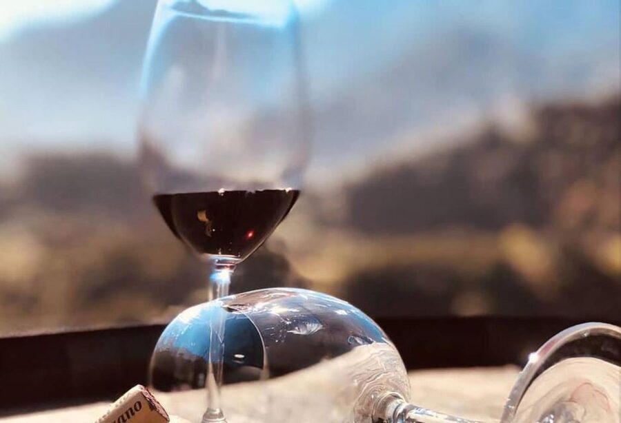 Madeira: Vineyard Tour w/ Wine Tasting & Skywalk - Should you book it?
