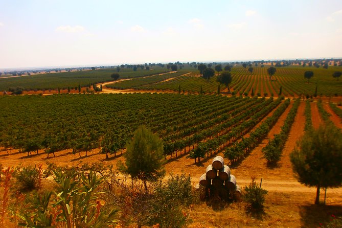 Madrid Countryside Wineries Guided Tour with Wine Tasting - Bodegas Jesús Díaz e Hijos and the clay-cellar finale