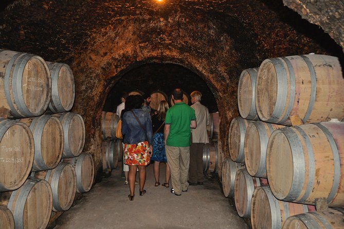 Madrid Countryside Wineries Guided Tour with Wine Tasting - What the guide adds to the day