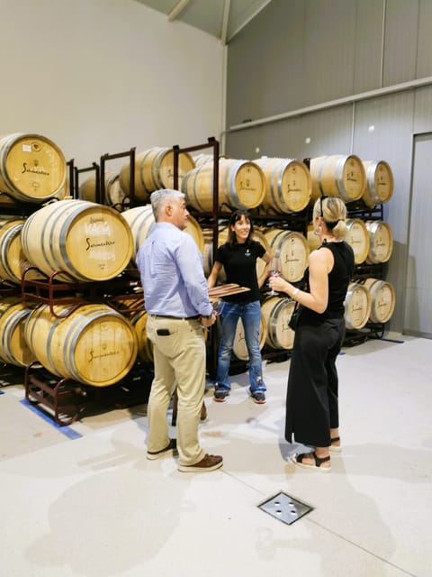 Madrid: half day wine region tour - Key points to know before booking