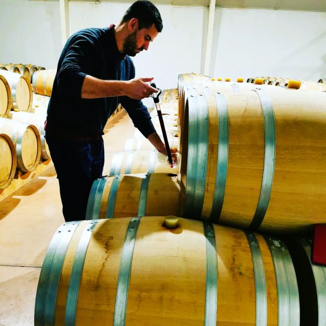 Madrid: half day wine region tour - Who should book this six-hour wine outing?