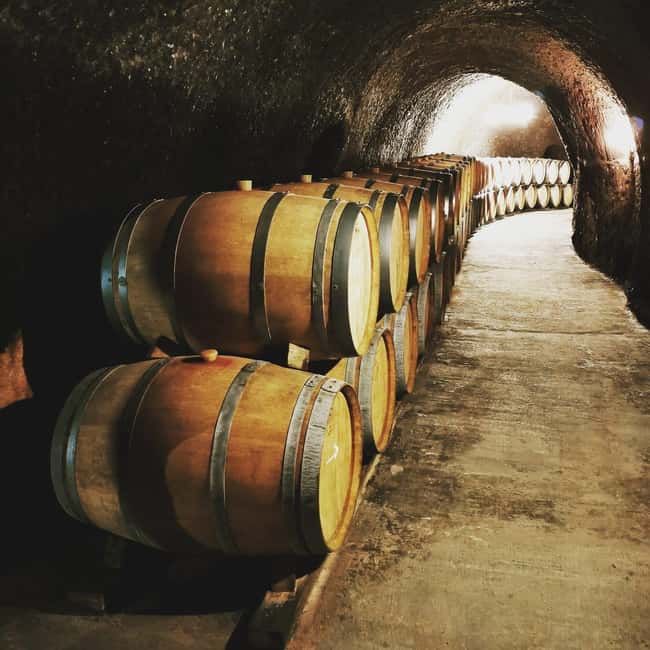 Madrid: half day wine region tour - What the scenery adds to the tasting