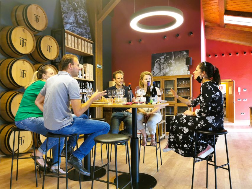 Madrid: half day wine region tour - The guide, group size, and the social side of the day