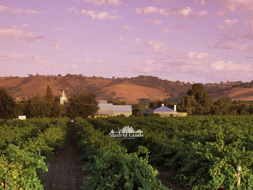 Madrid: Luxury Winery Emilio Moro Tour - Key points to know before booking