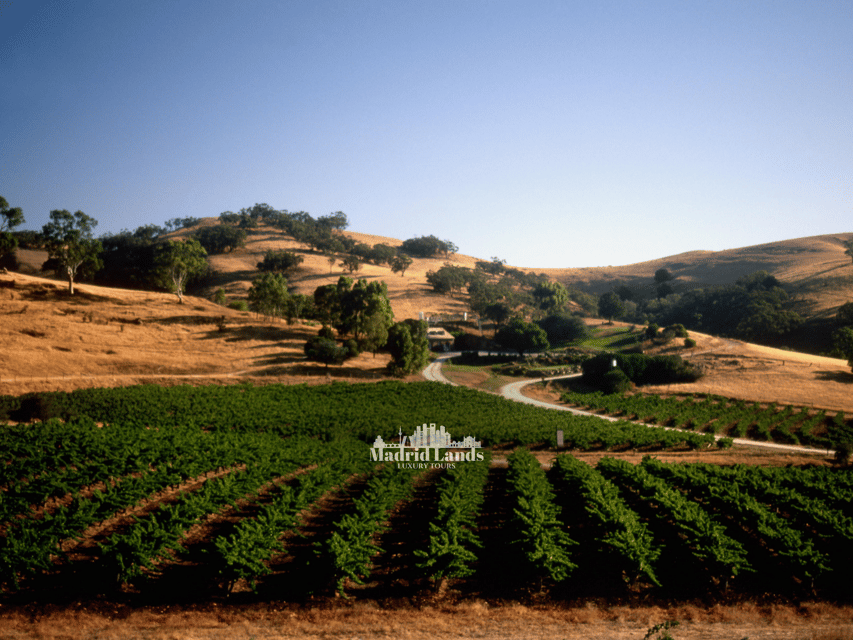Madrid: Luxury Winery Emilio Moro Tour - The people behind the personal service